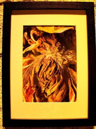 The Tomb of an Unknown Saint. Glicl&eacute;e Print on Archival Paper. Foto por Fabiana Torras