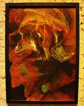 Un Profil de Belle Epoque. Print on Copper. Foto por Fabiana Torras