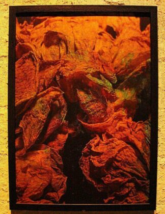 Welcome to the Opera. Print on Copper. Foto por Fabiana Torras