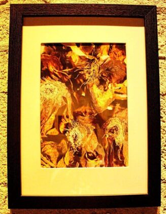 Awaiting the Final Veredict. Glicl&eacute;e Print on Archival Paper. Foto por Fabiana Torras